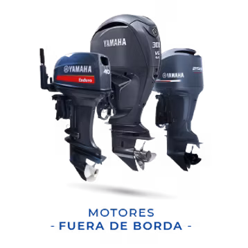 Motores Fuera de Borda