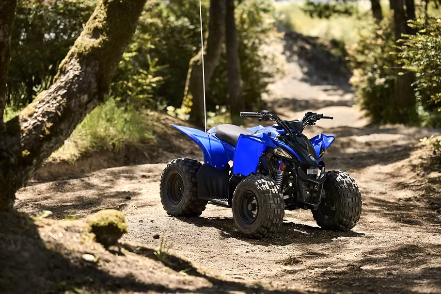 Yamaha YFZ50 — foto 3