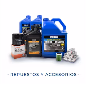 Repuestos y Accesorios